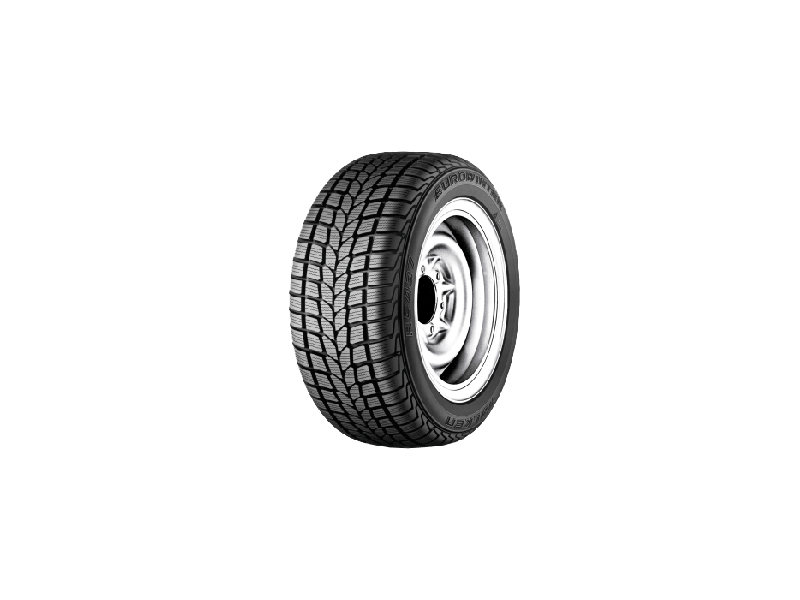 FALKEN EUROWINTER HS437 VAN