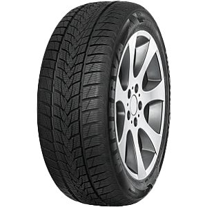 MINERVA 195/55 R 20   95H   MINERVA   FROSTRACK UHP XL